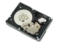 Dell Nearline - Hard drive - 1 TB - internal - 3.5 - SAS - 7200 rpm"