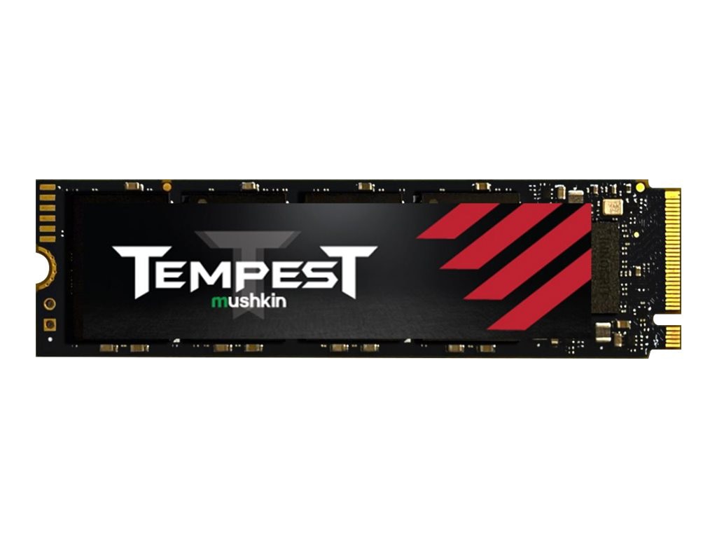 EDGE MEMORY TEMPEST 256GB M.2 2280 PCIe Gen3 x4 SSD for Professionals