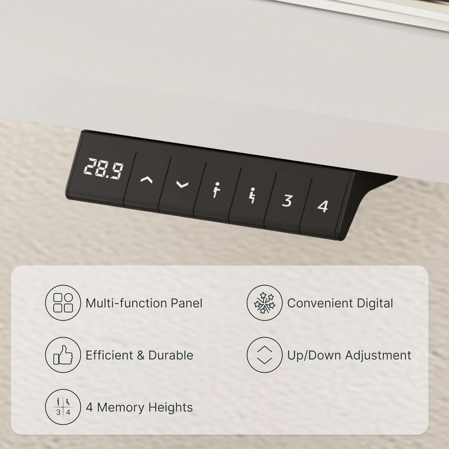EN1 Electric Standing Desk 48x24 Inches White Frame