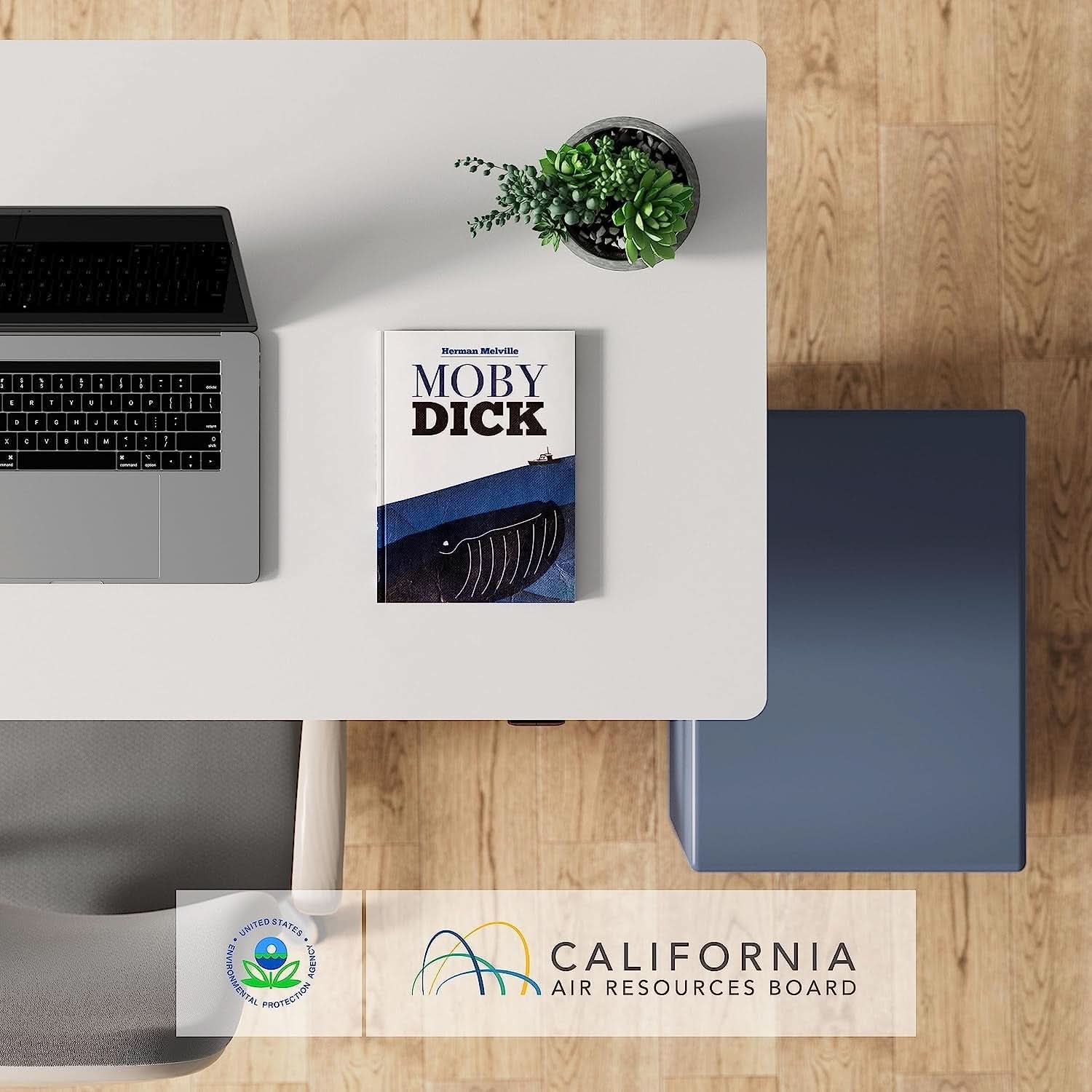 EN1 Electric Standing Desk 48x24 Inches White Frame