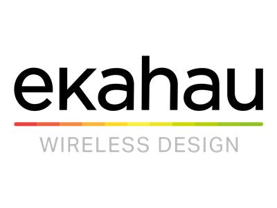 Ekahau Certified Survey Engineer Advanced - lectures - 4 days - classroom ECSE-4-ADV-CLASS