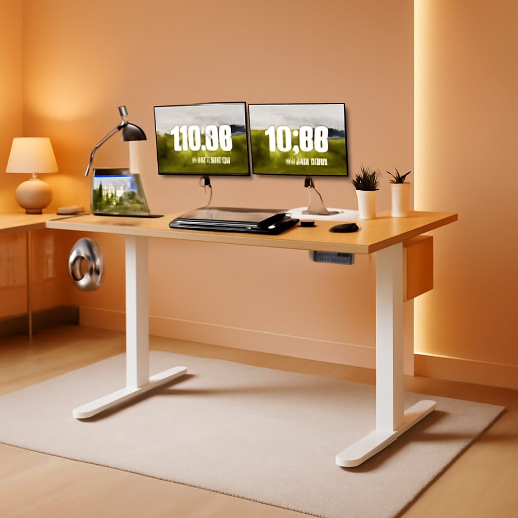 Electric Adjustable Height Standing Desk 55x24 Inch With Splice Panels