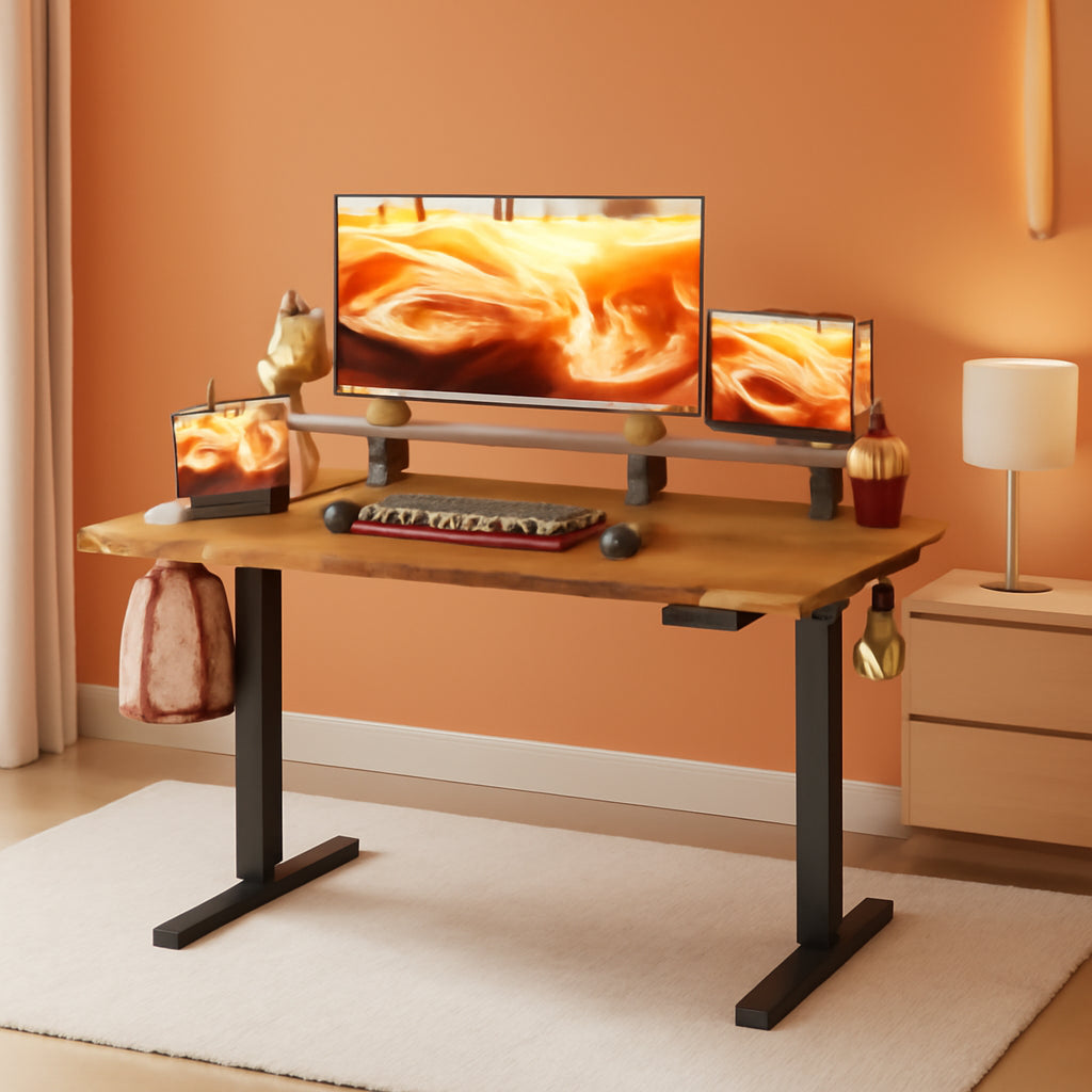 Electric Standing Desk 48x24 Inch Ergonomic Adjustable