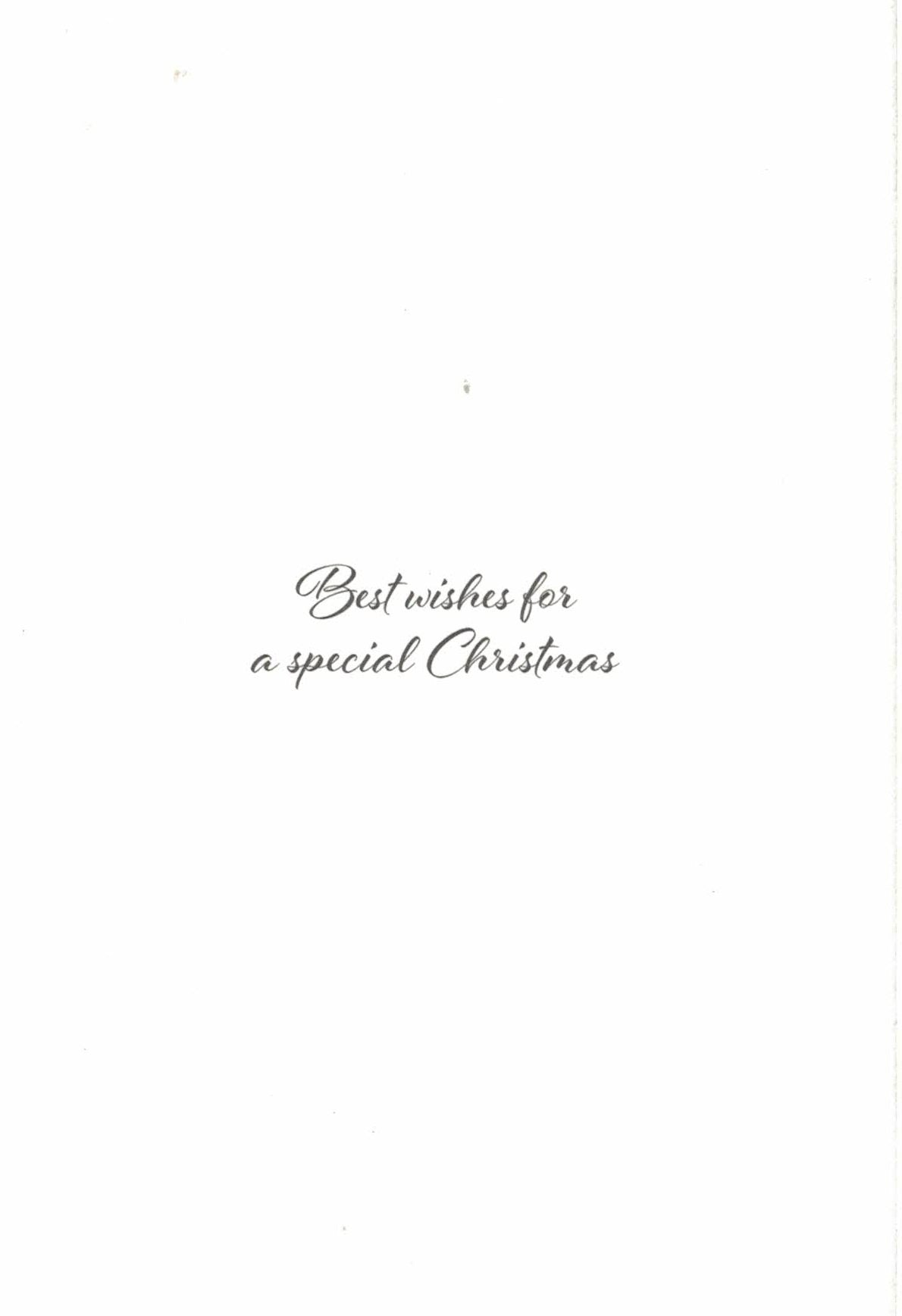 Elegant Boxed Cards - Cardinal Ornament