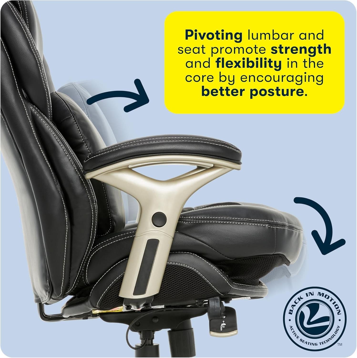 Ergonomic Office Chair Back In Motion Lumbar Support Black