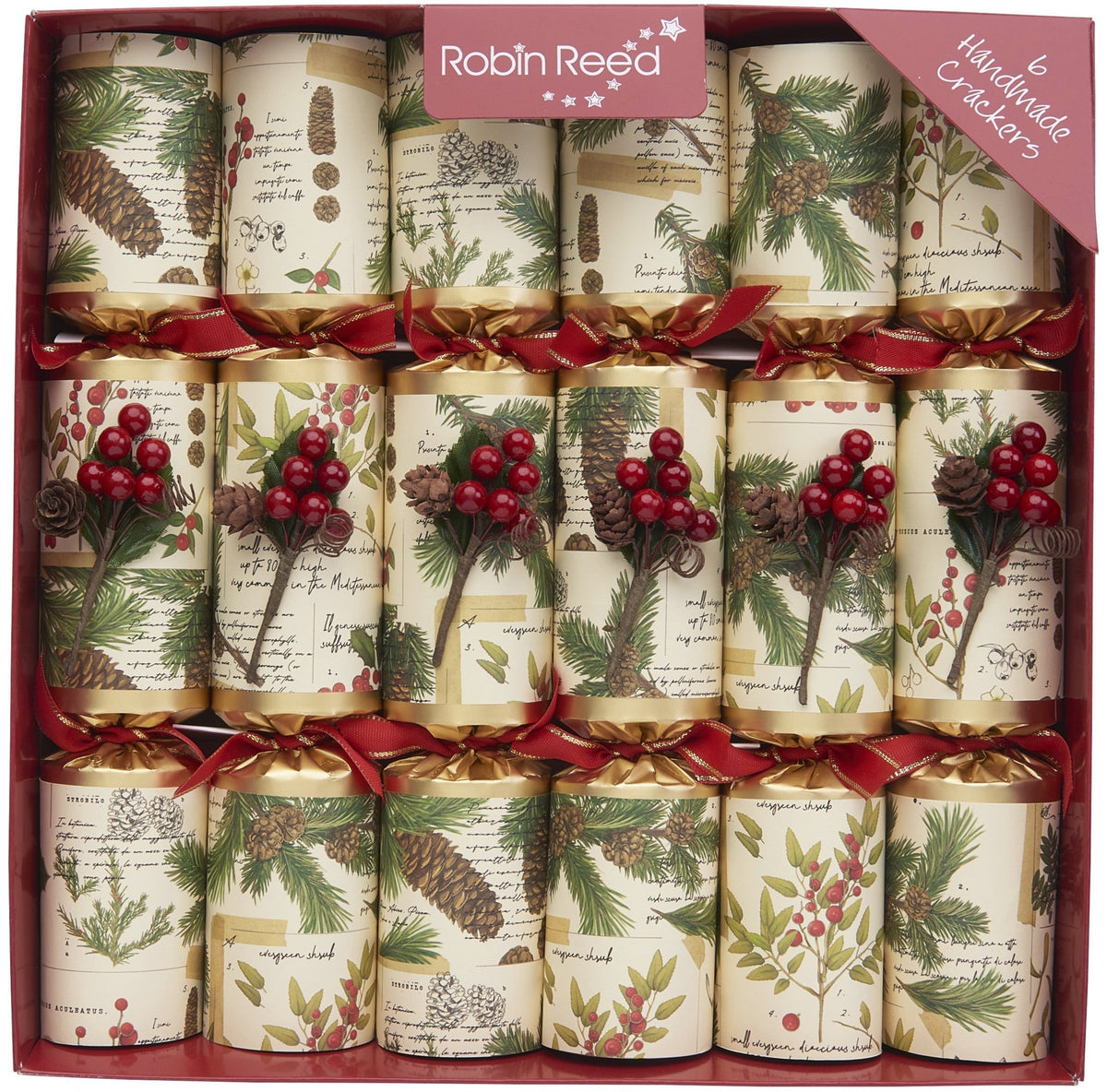 Evergreen - Party Crackers