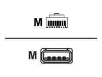 Extreme Networks - Serial console cable - RJ-45 (M) to USB (M) - 6 ft - USB 2.0 XN-RJ45-USBA-CONSOLE-CBL