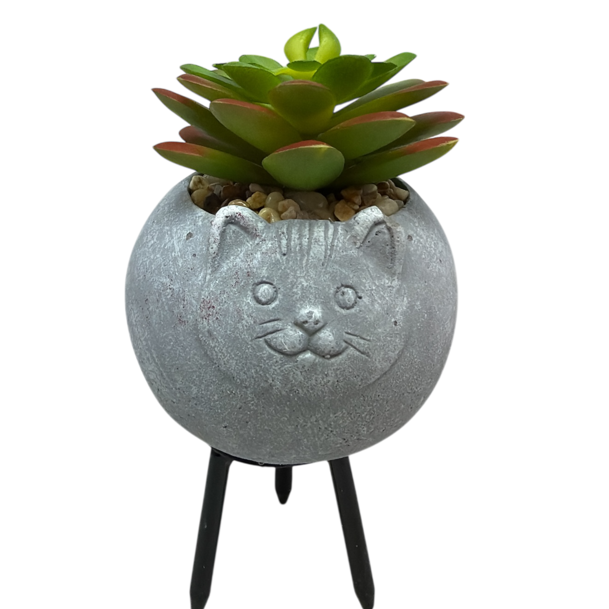 Faux 2 Tone Succulent In Planter - Cat