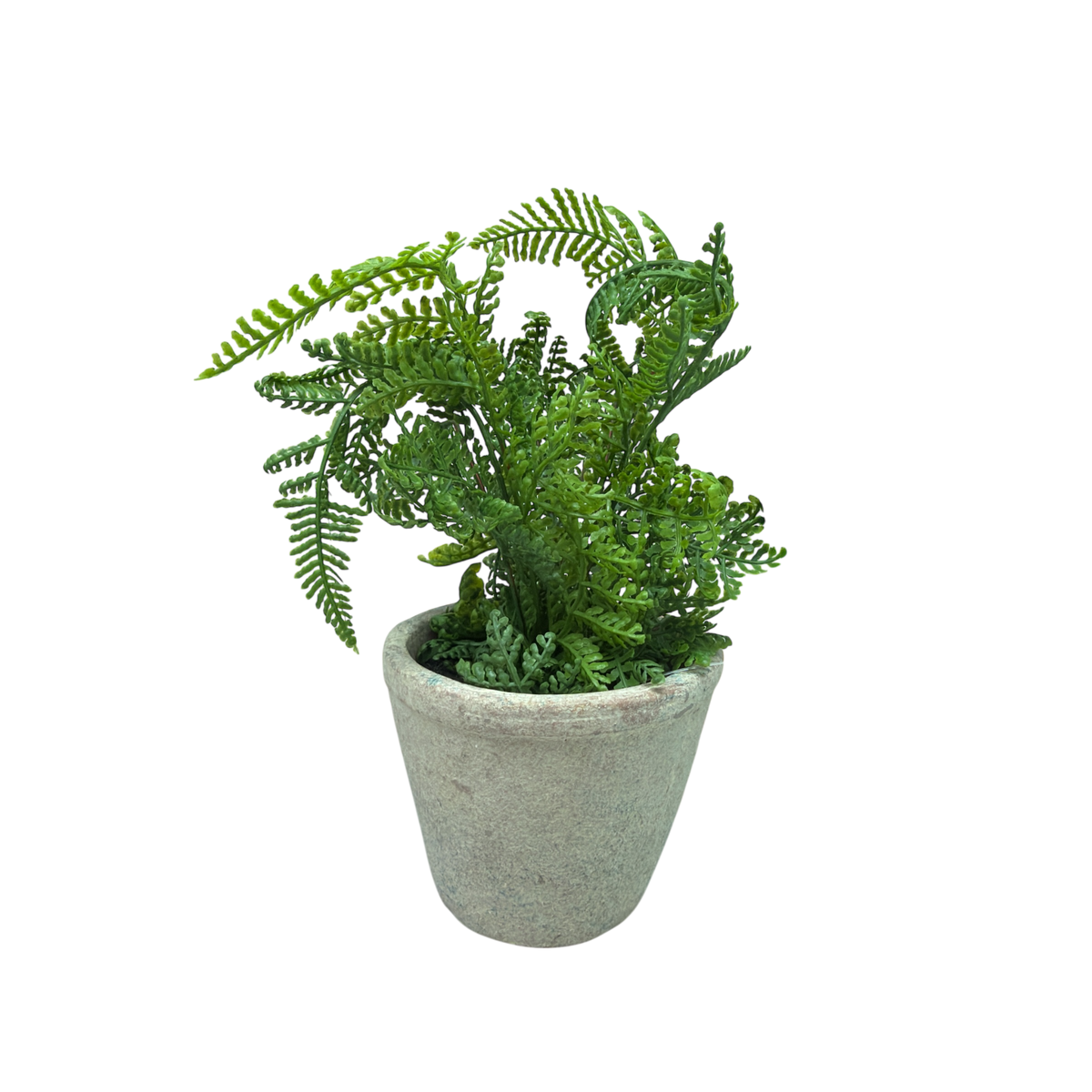Faux Boston Fern in Cement Pot