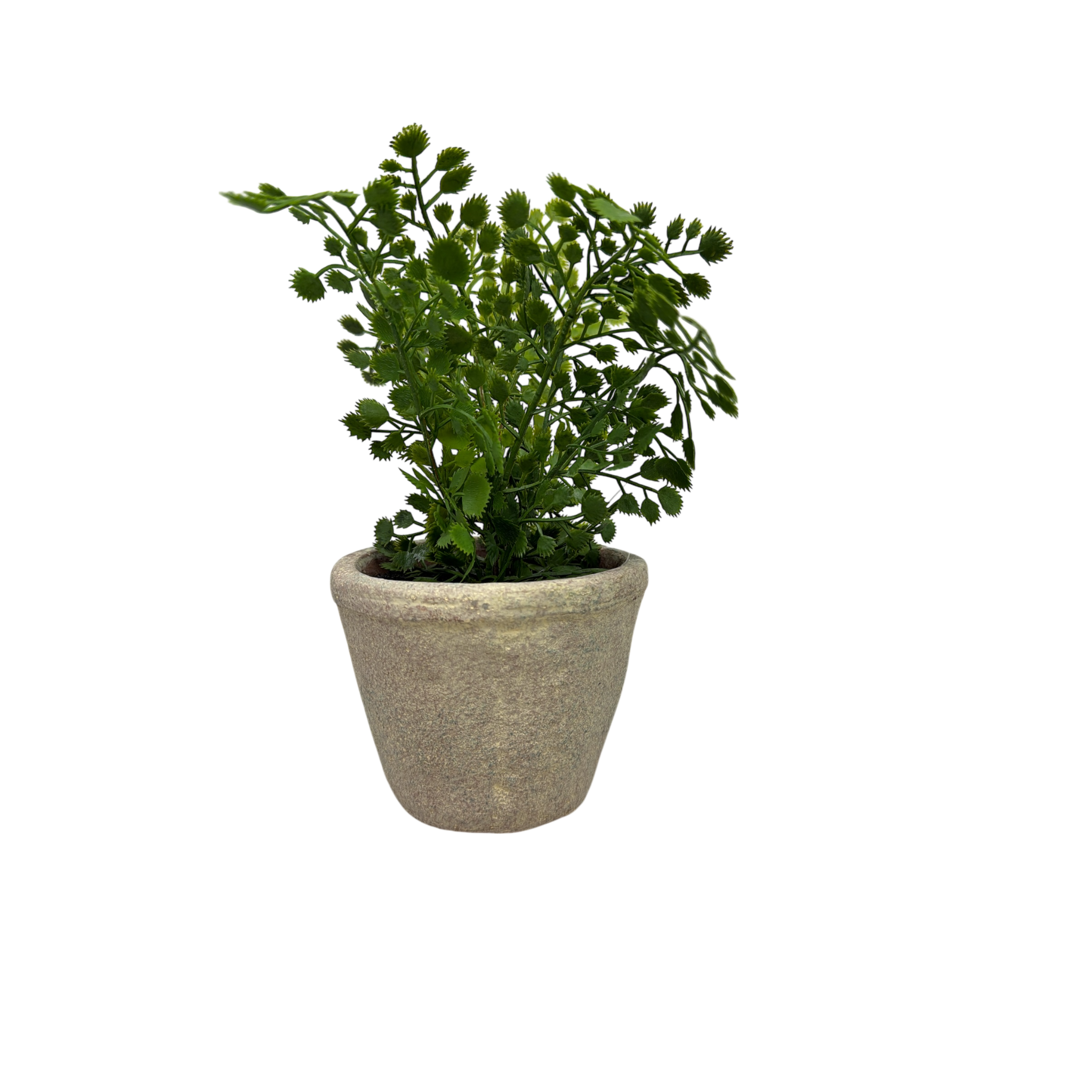 Faux Fern in Cement Pot