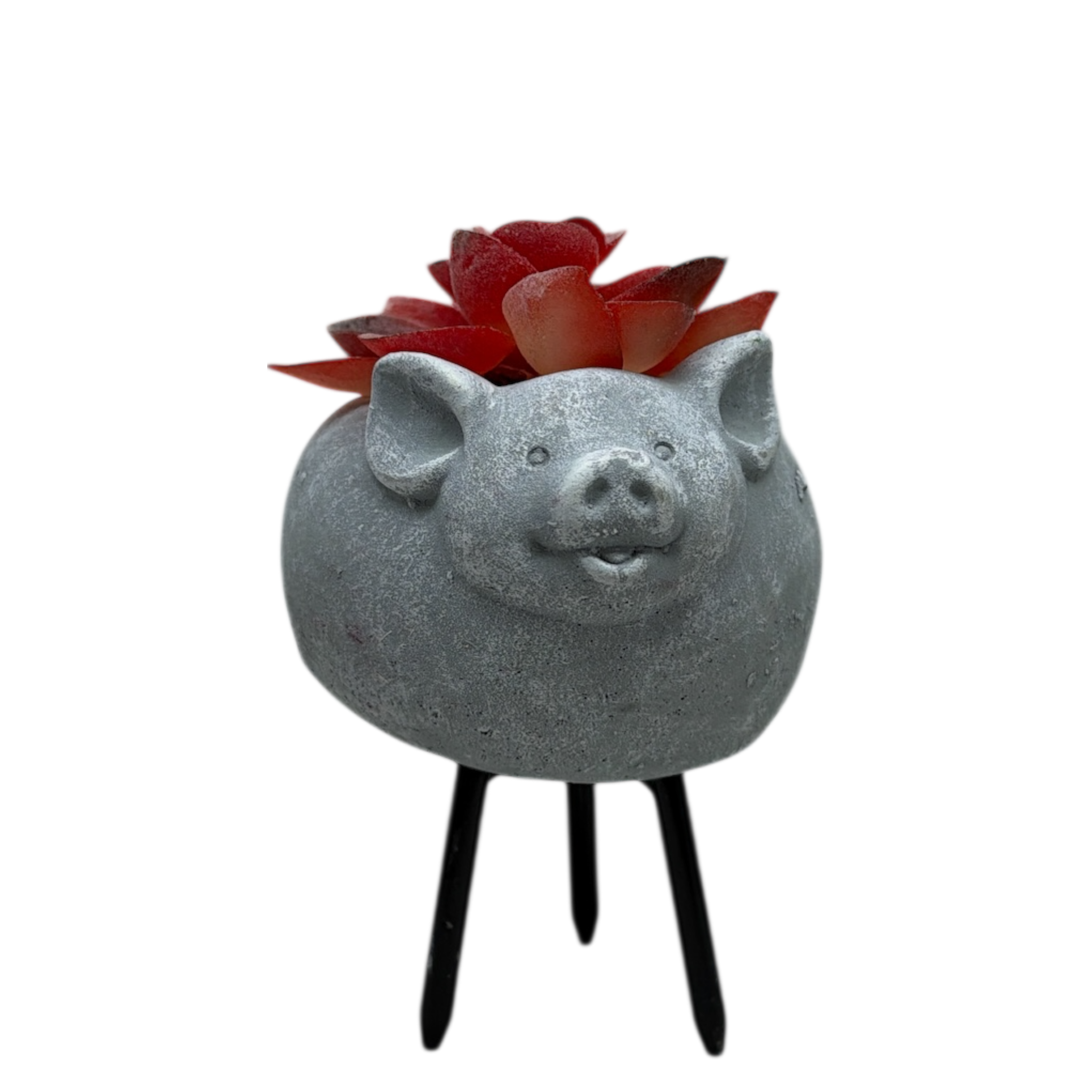 Faux Red Succulent In Planter - Pig