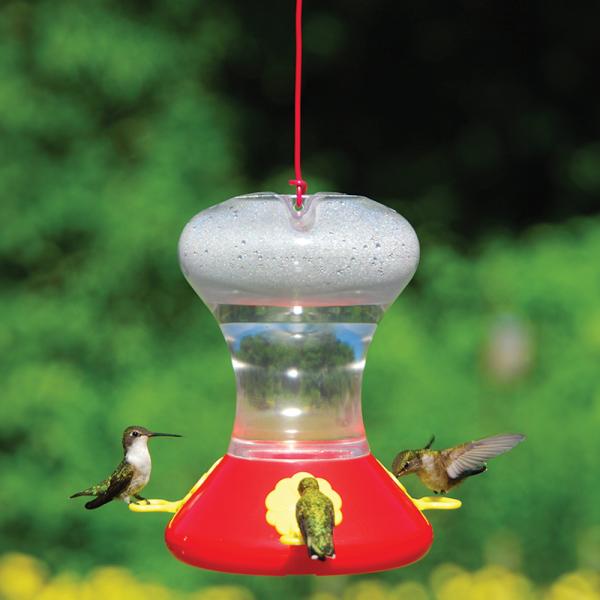 Fliteline 30 oz. Hummingbird Feder