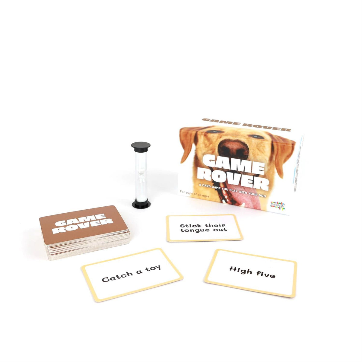 Game Rover - A Game You Play With Your Dog