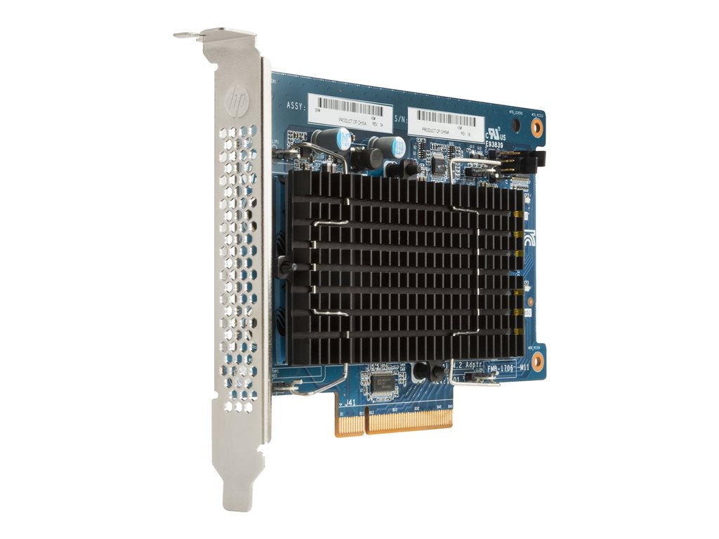 HP - DUAL PRO Pack - SSD - 256 GB - internal - M.2 2280 - PCIe (NVMe) - for Workstation Z4 G4