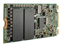 HPE 960GB NVMe M.2 22110 RI SSD Enterprise-Grade Speed P40514-B21