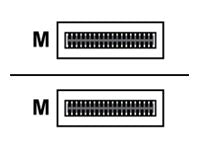 HPE XP8 - SAS external cable - QSFP (M) to QSFP (M) - 66 ft (pack of 16) - for P/N: R0K99A, R0L99A R0L95A