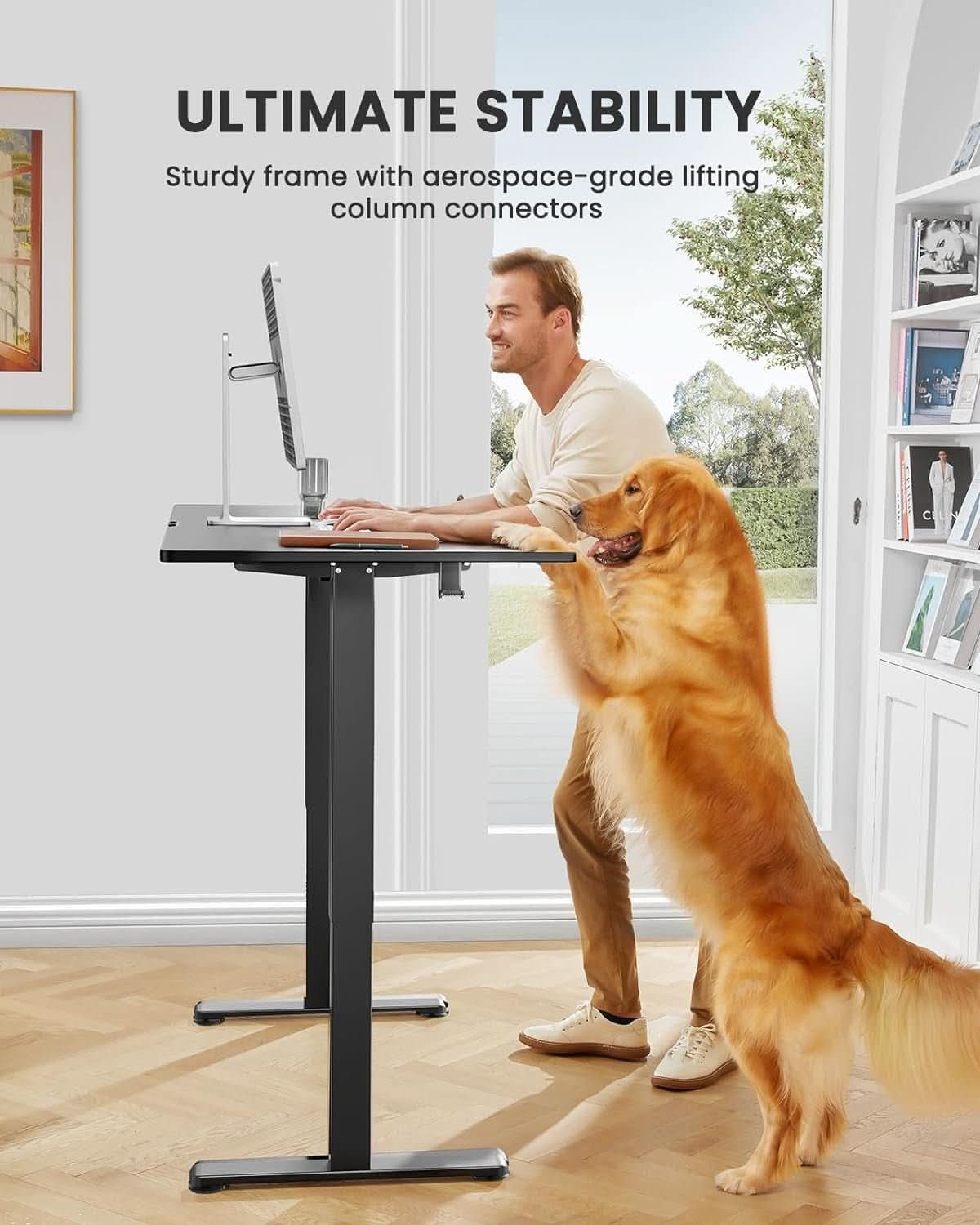 Height Adjustable Electric Standing Desk 48 X 24 Inches