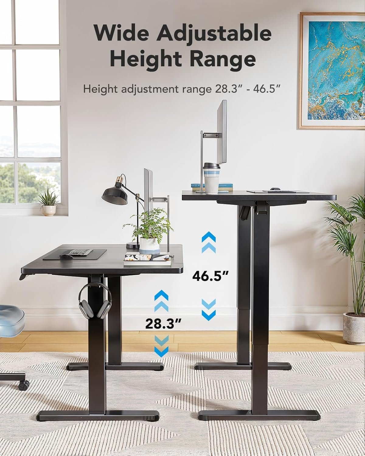 Height Adjustable Electric Standing Desk with Cable Management
