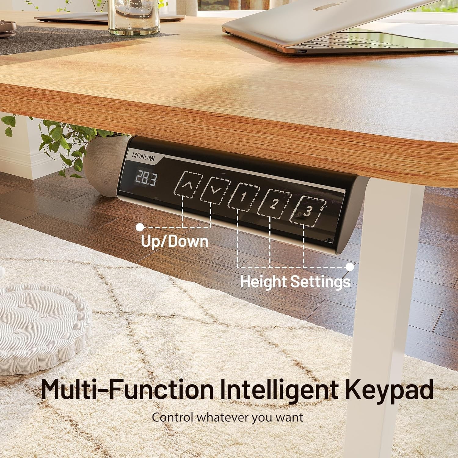 Height Adjustable Electric Standing Desk with Wheels and Memory Presets
