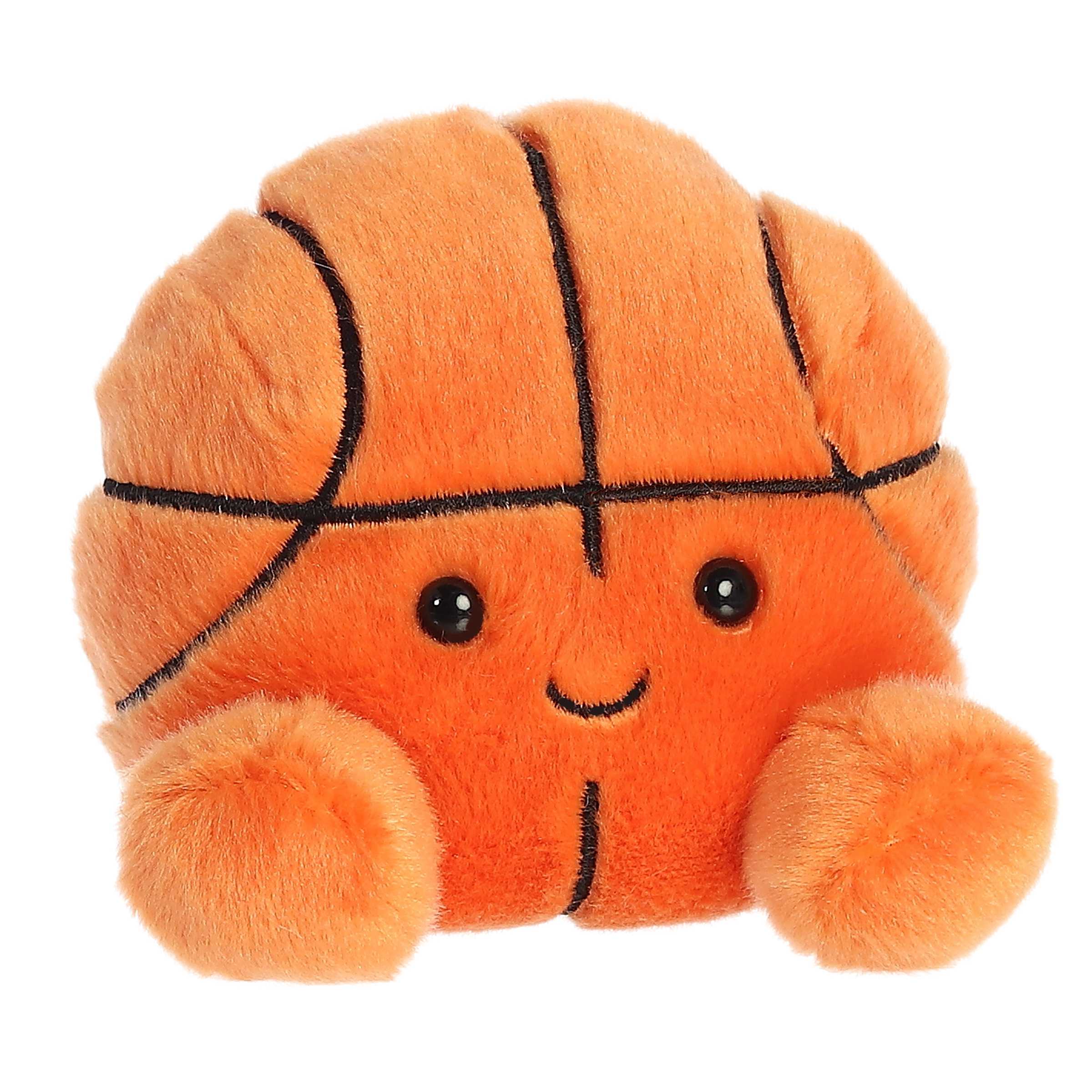 Hoops Basketball  Palm Pal