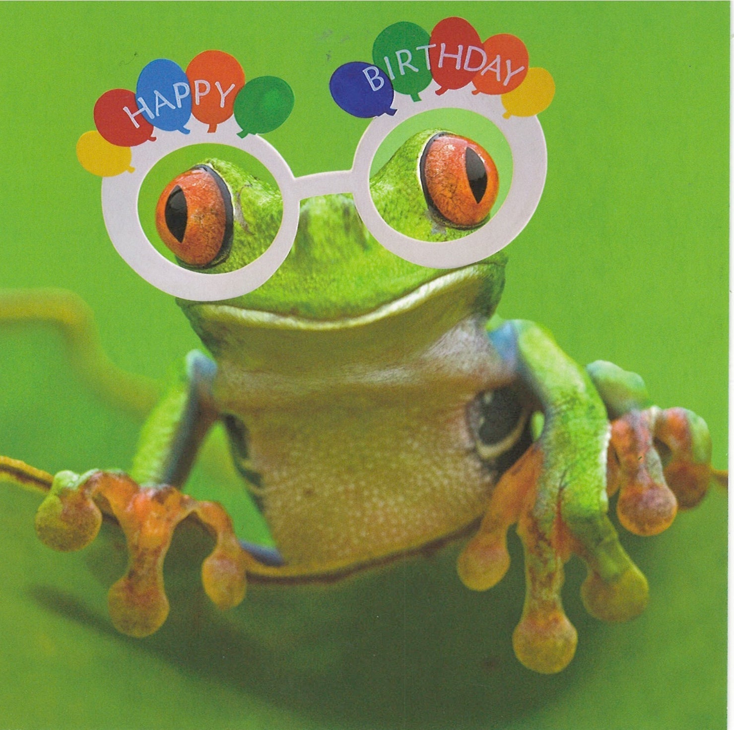 Hoppy Birthday Card - Birthday Card