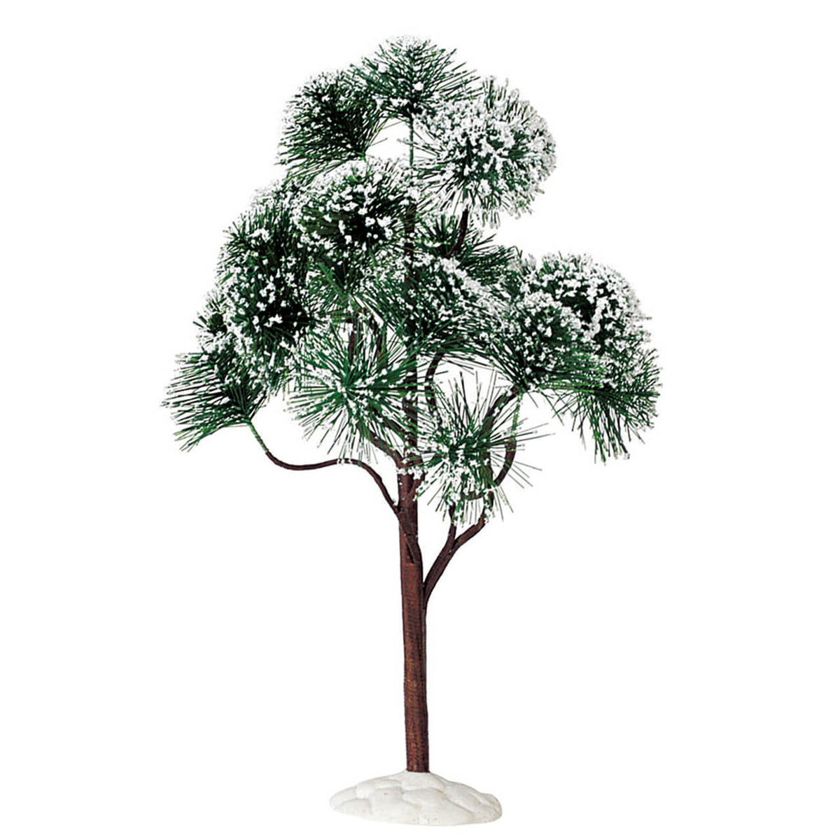 Huge Mountain Pine Tree - 12 Inch