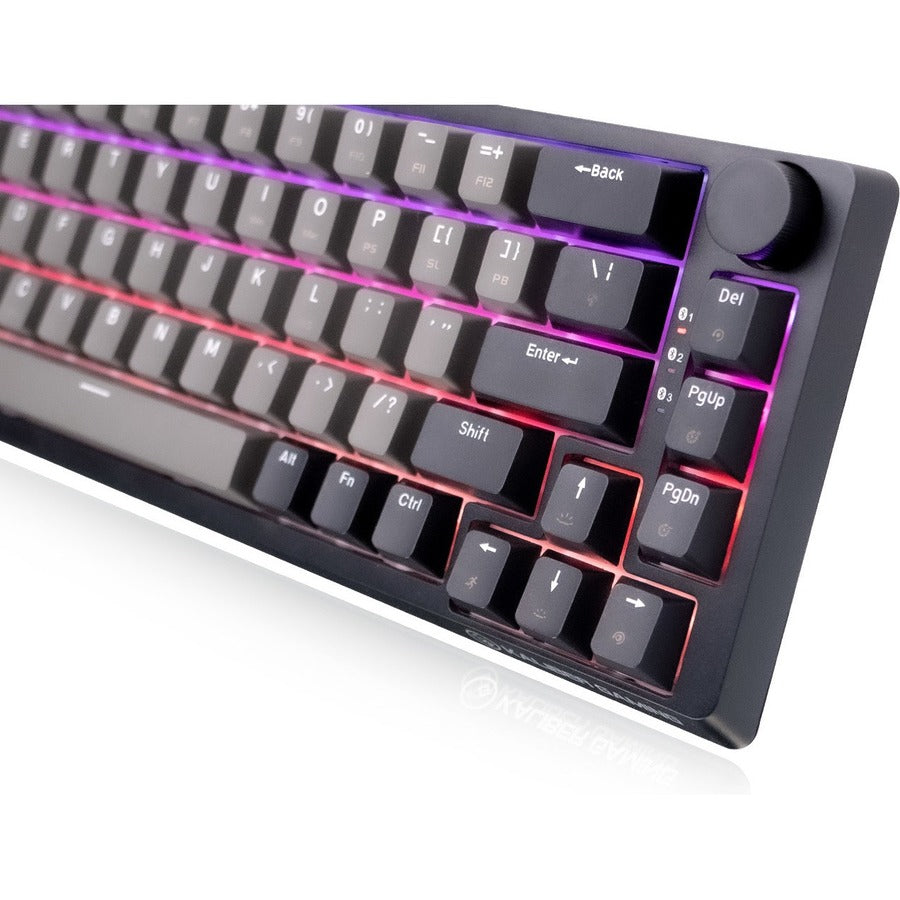 IOGEAR MECHLITE NANO USB/Wireless Keyboard GKB610R