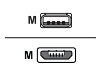 InVue - USB cable - Micro-USB Type B male to USB male - 10 ft
