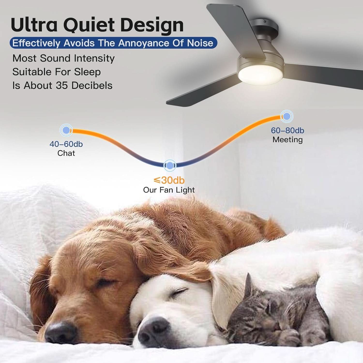 Jet Black Matte 42 Inch Ceiling Fan With Remote LED Light