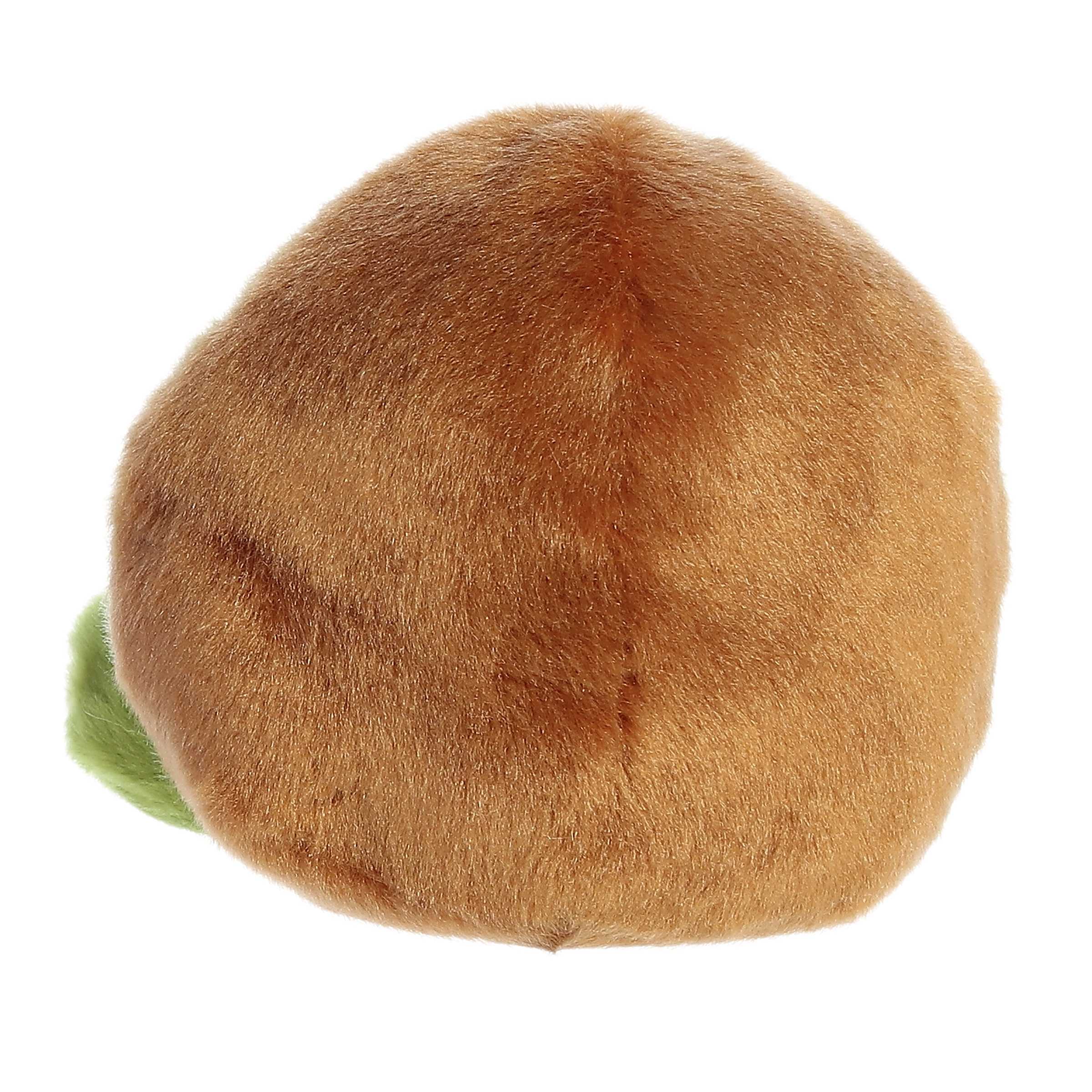 Kimber Kiwi Palm Pal