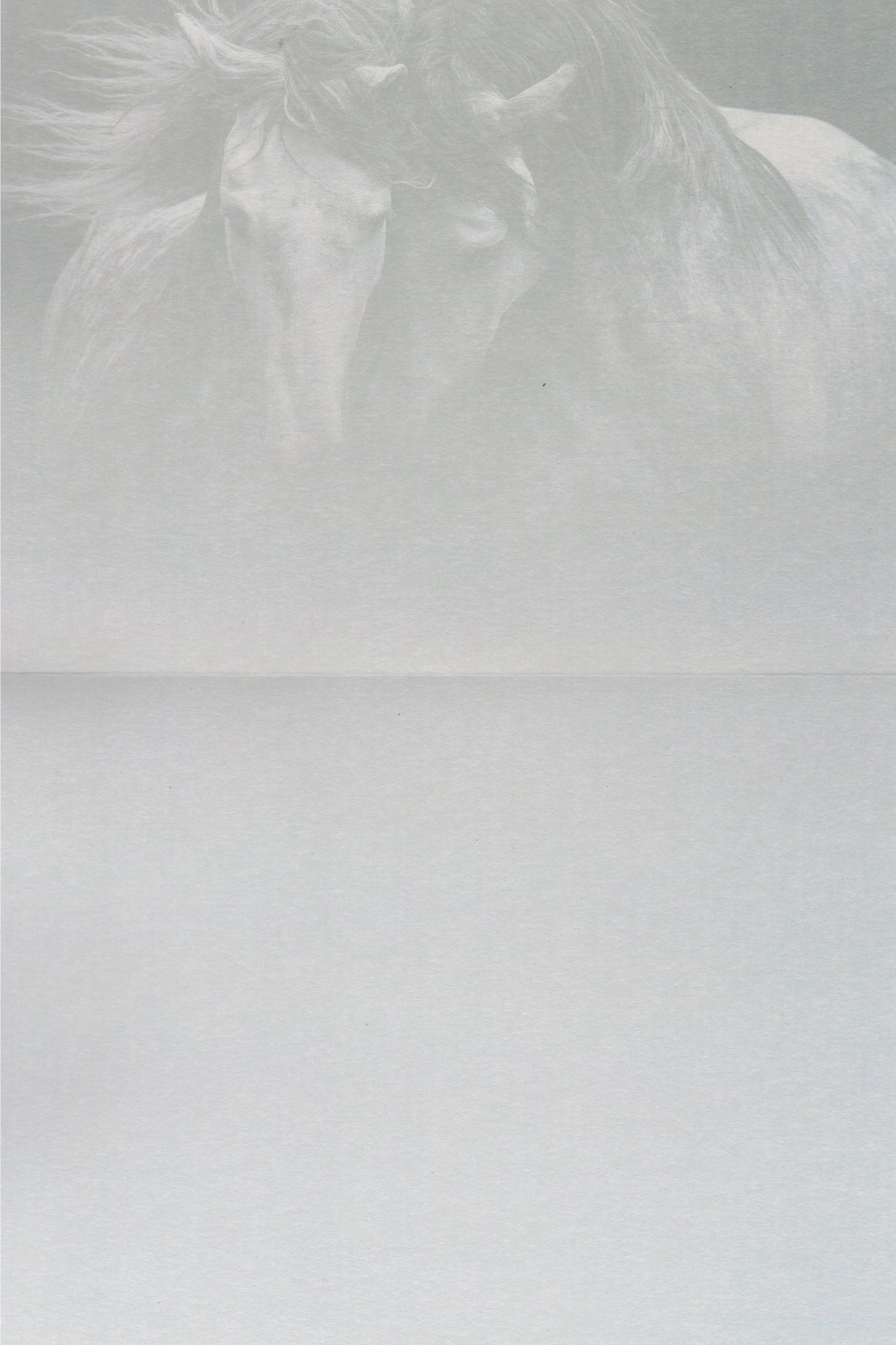 Kindred Spirits Greeting Card - Blank Card