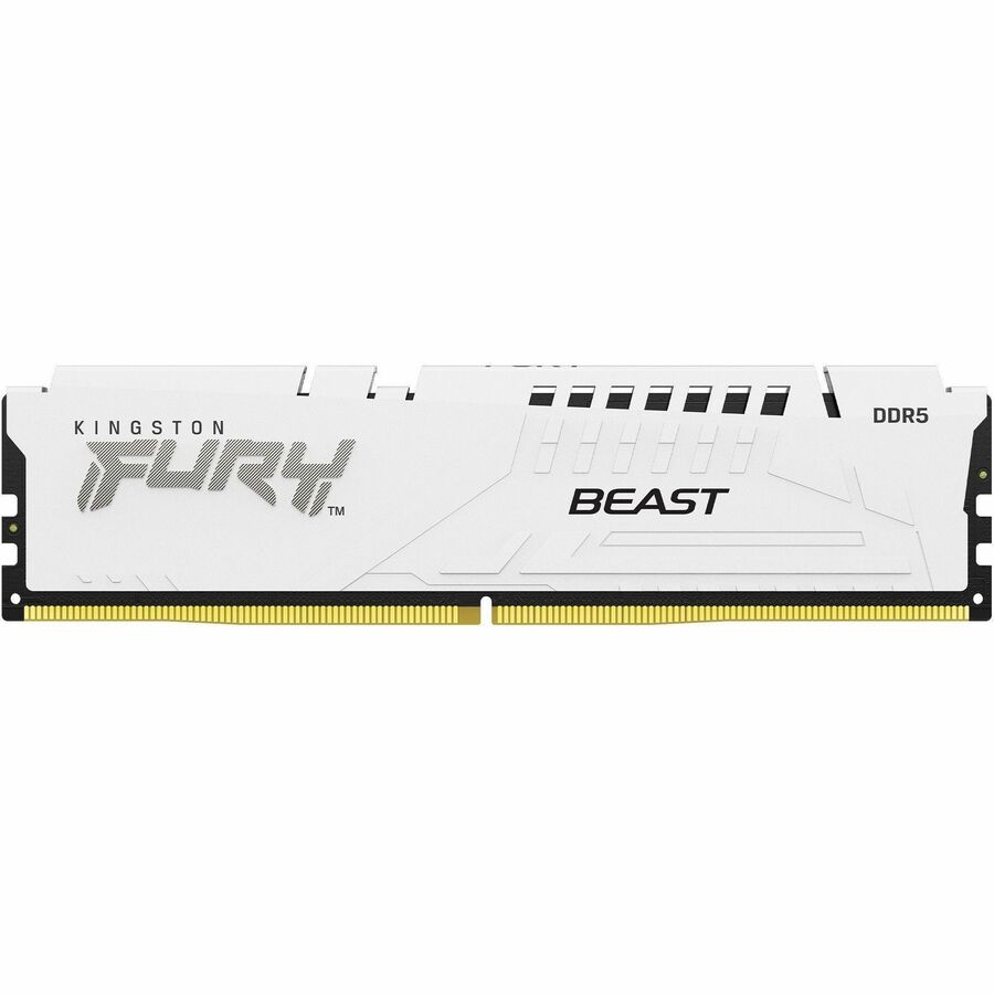 Kingston FURY Beast 16GB DDR5 SDRAM Memory Module KF560C40BW-16