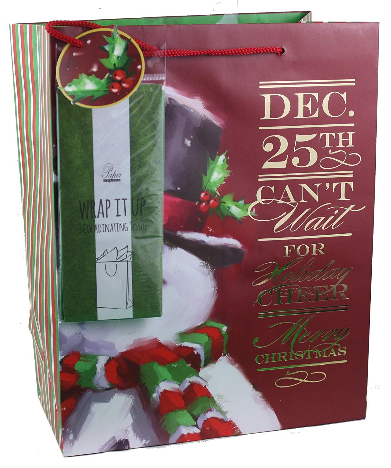 Large Gift Bag With Tissue - North Pole
