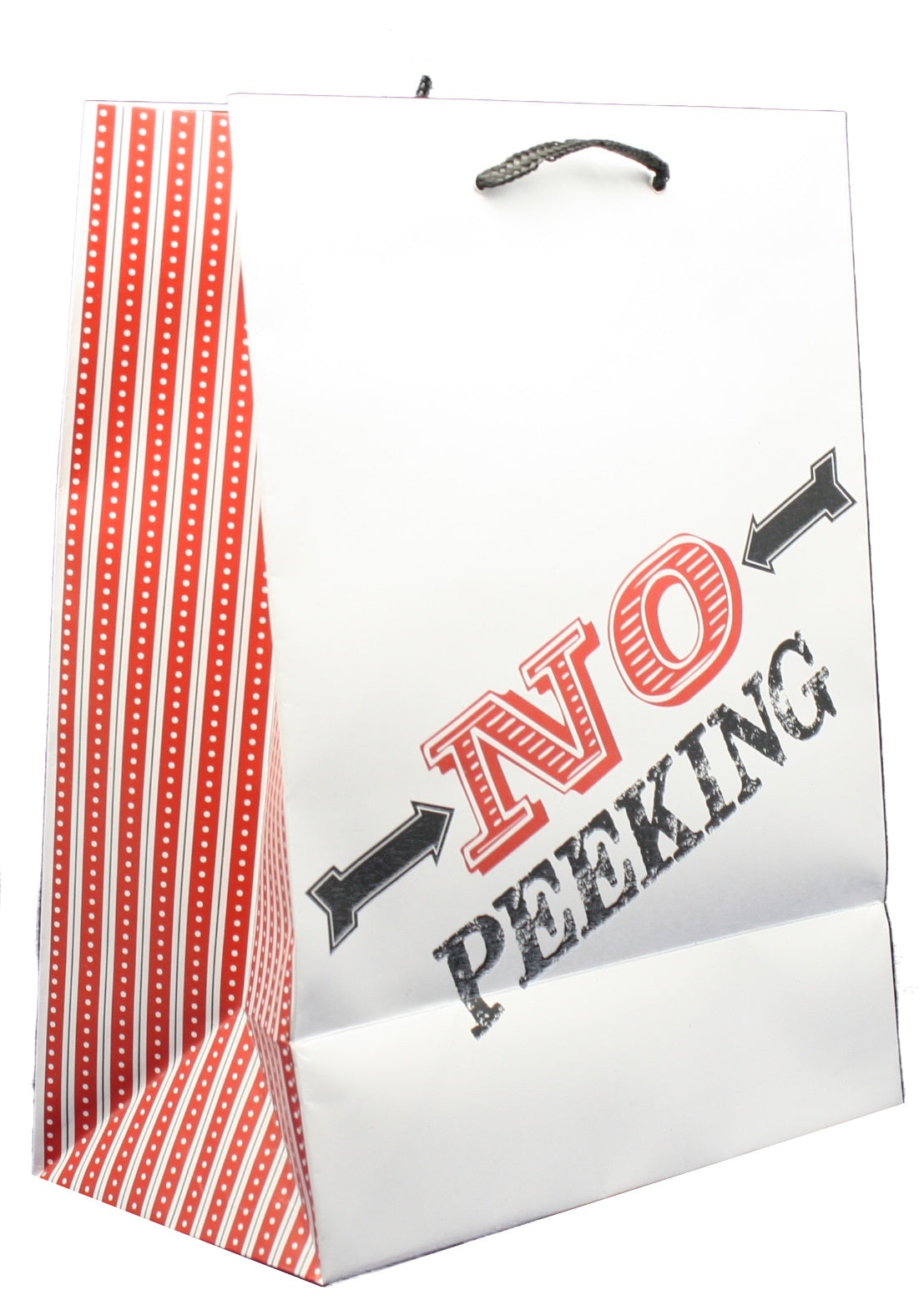 Large Gift Bag With Tissue - North Pole