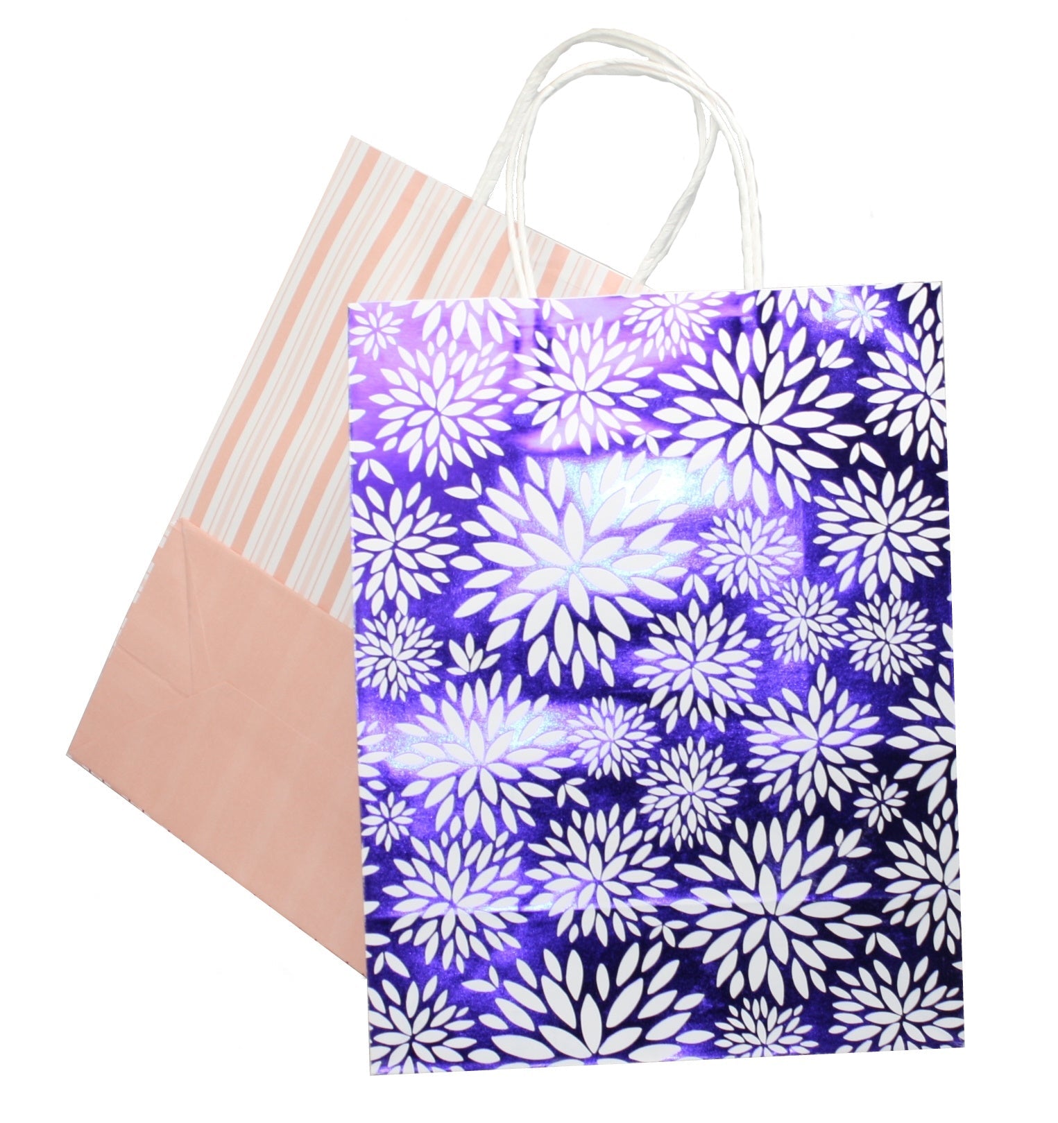 Large Kraft Gift Bag 2 Pack - Floral Stripes