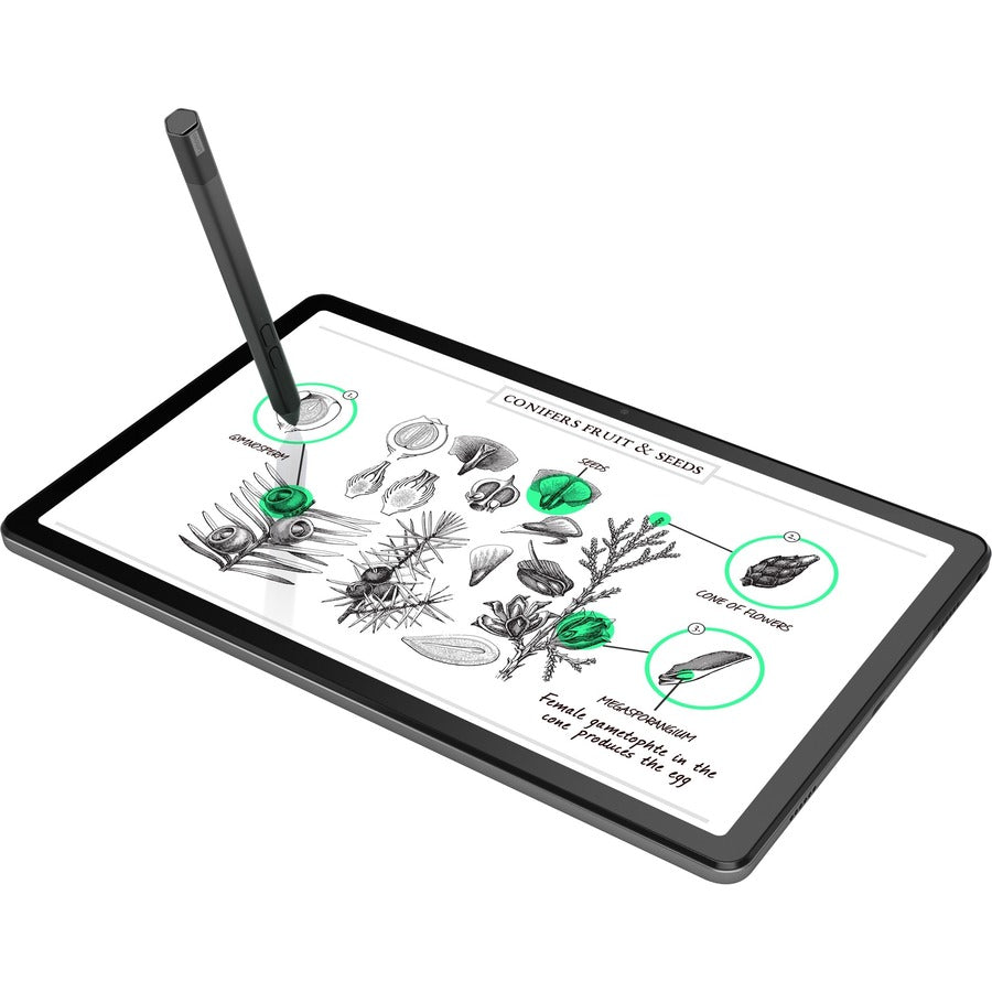 Lenovo Tab M10 Plus (3rd Gen) TB125FU Tablet - 10.6" 2K - Octa-core (Cortex A75 Dual-core