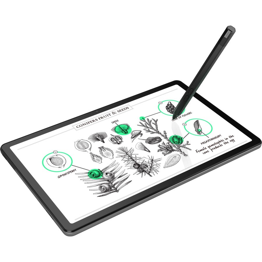 Lenovo Tab M10 Plus (3rd Gen) TB125FU Tablet - 10.6" 2K - Octa-core (Cortex A75 Dual-core