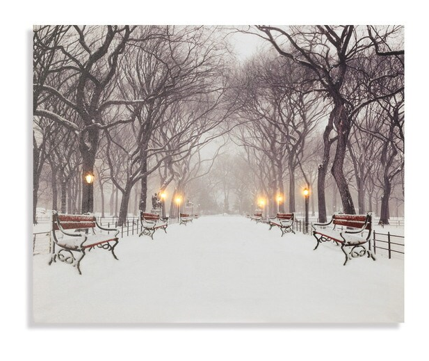 Lighted 20x16 Canvas Print - Snowy Winter in Central Park