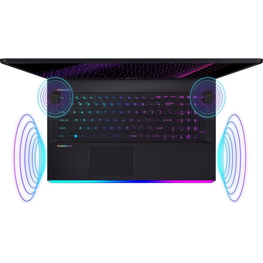 MSI Raider GE77HX 17.3 360Hz Gaming Laptop RAIDERGE7712074