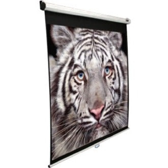Manual Series Pull Down Projector Screen - 4K Ultra HD MaxWhite 2 Wall Ceiling Mount | Tecisoft M120UWH2