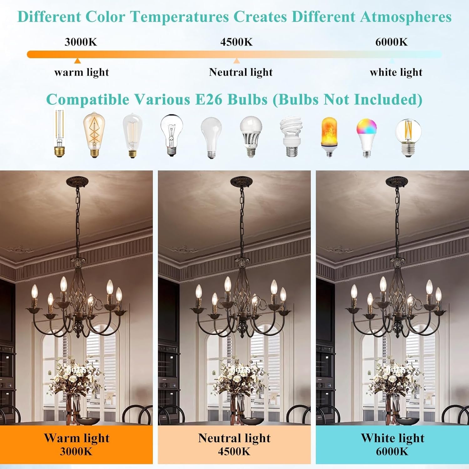 Matte Black 6 Light Farmhouse Industrial Chandelier