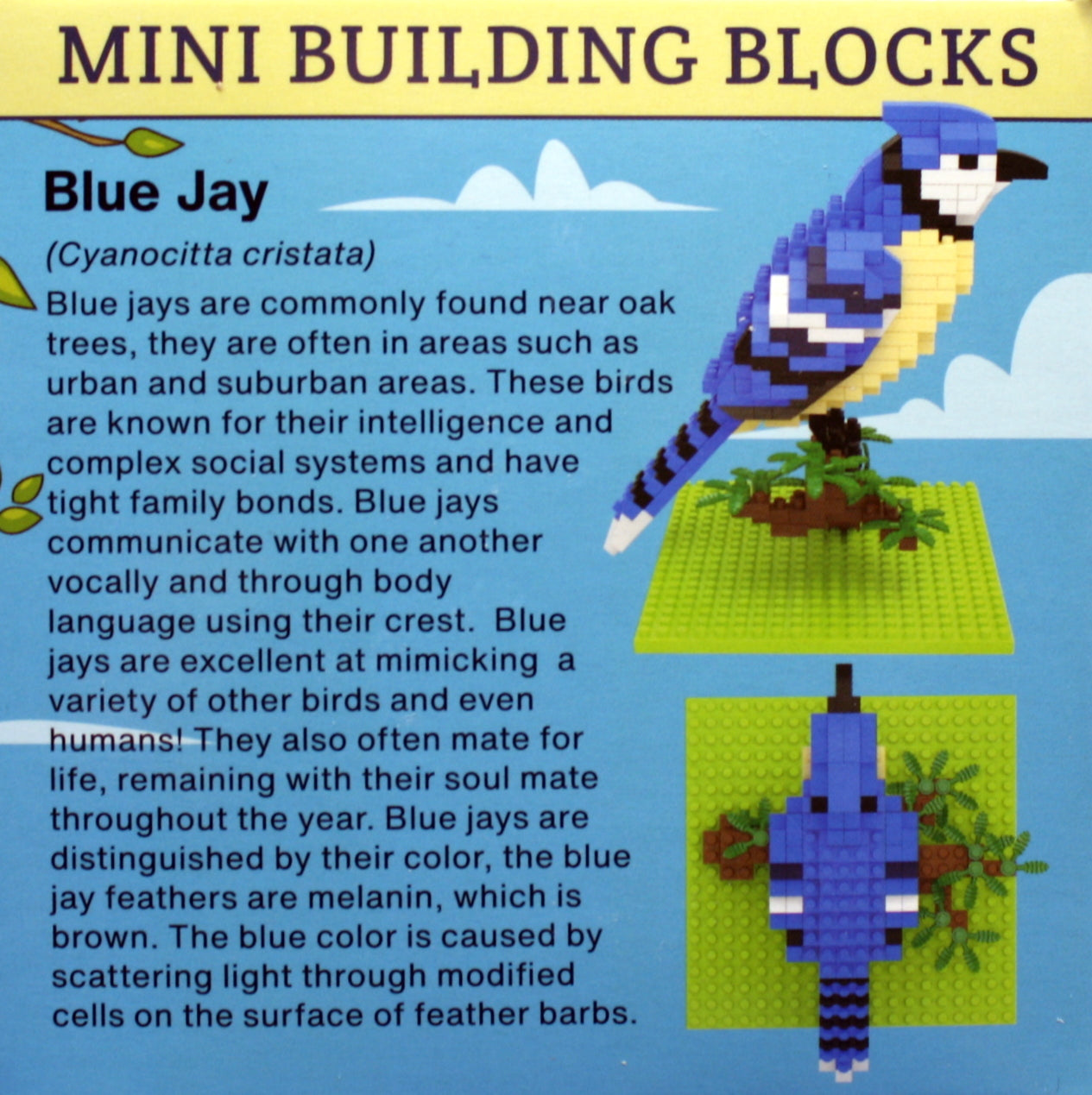 Mini Building Blocks - Blue Jay