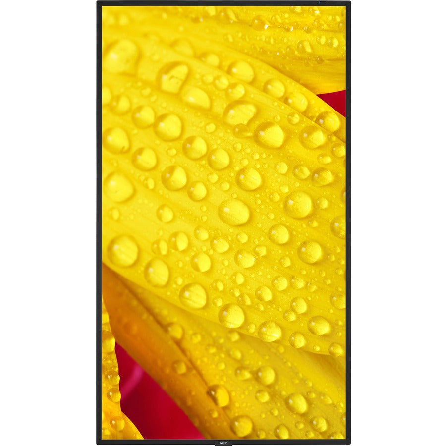 NEC Display 43 Ultra High Definition Commercial Display" ME431