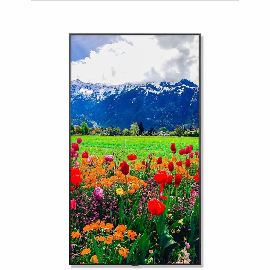 NEC Display 86" Ultra High Definition Professional Display with ATSC/NTSC Tuner - 86" LCD