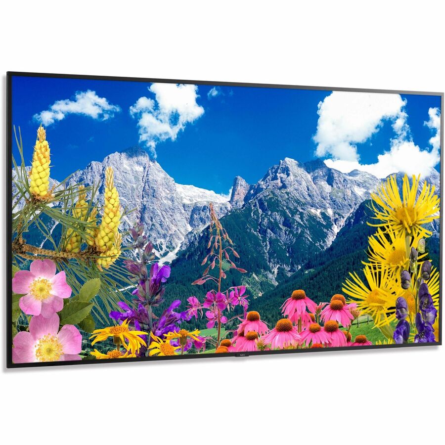 Enc Display NEC Display 86