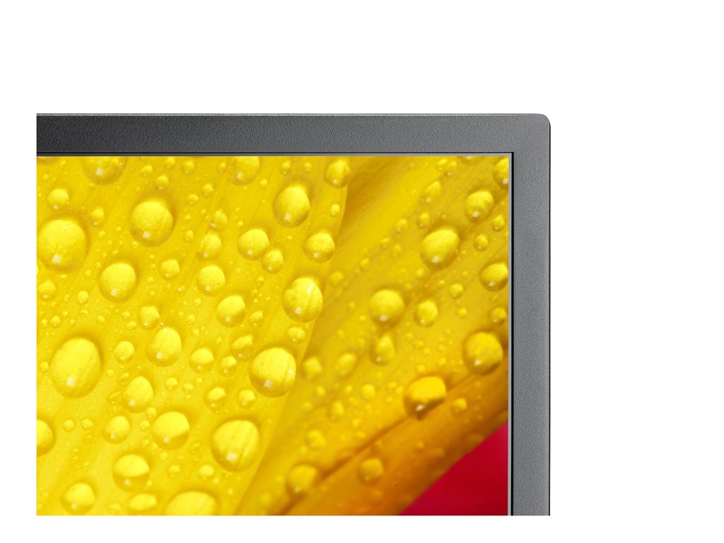 NEC MultiSync M431-2 - 43 Diagonal Class (42.5" viewable) LED-backlit LCD display - digital signage - with built-in media player