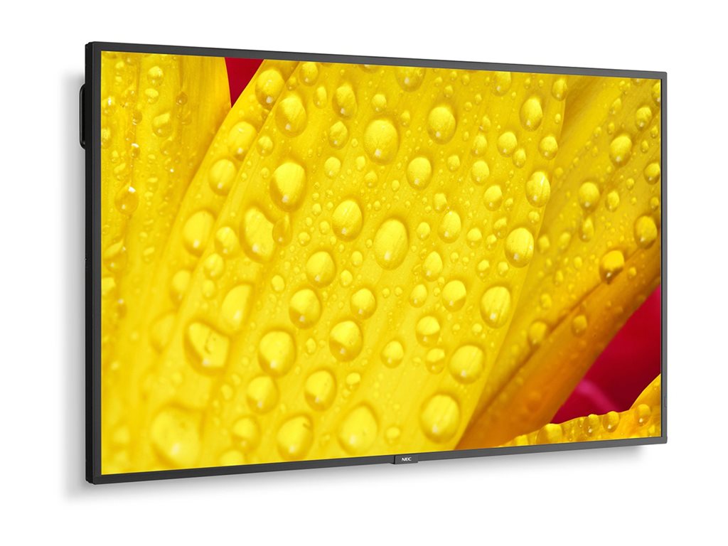 NEC MultiSync M431-2 - 43 Diagonal Class (42.5" viewable) LED-backlit LCD display - digital signage - with built-in media player