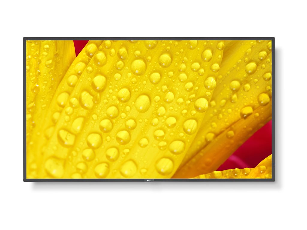 NEC MultiSync M651-2 - 65 Diagonal Class (64.5" viewable) - M Series LED-backlit LCD display - digital signage - 4K UHD (2160p)