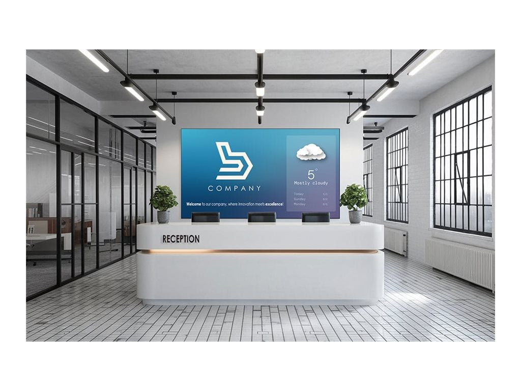 NEWLINE 216IN Direct View LED Wall DV-21624-PLUS with Mount for Professionals
