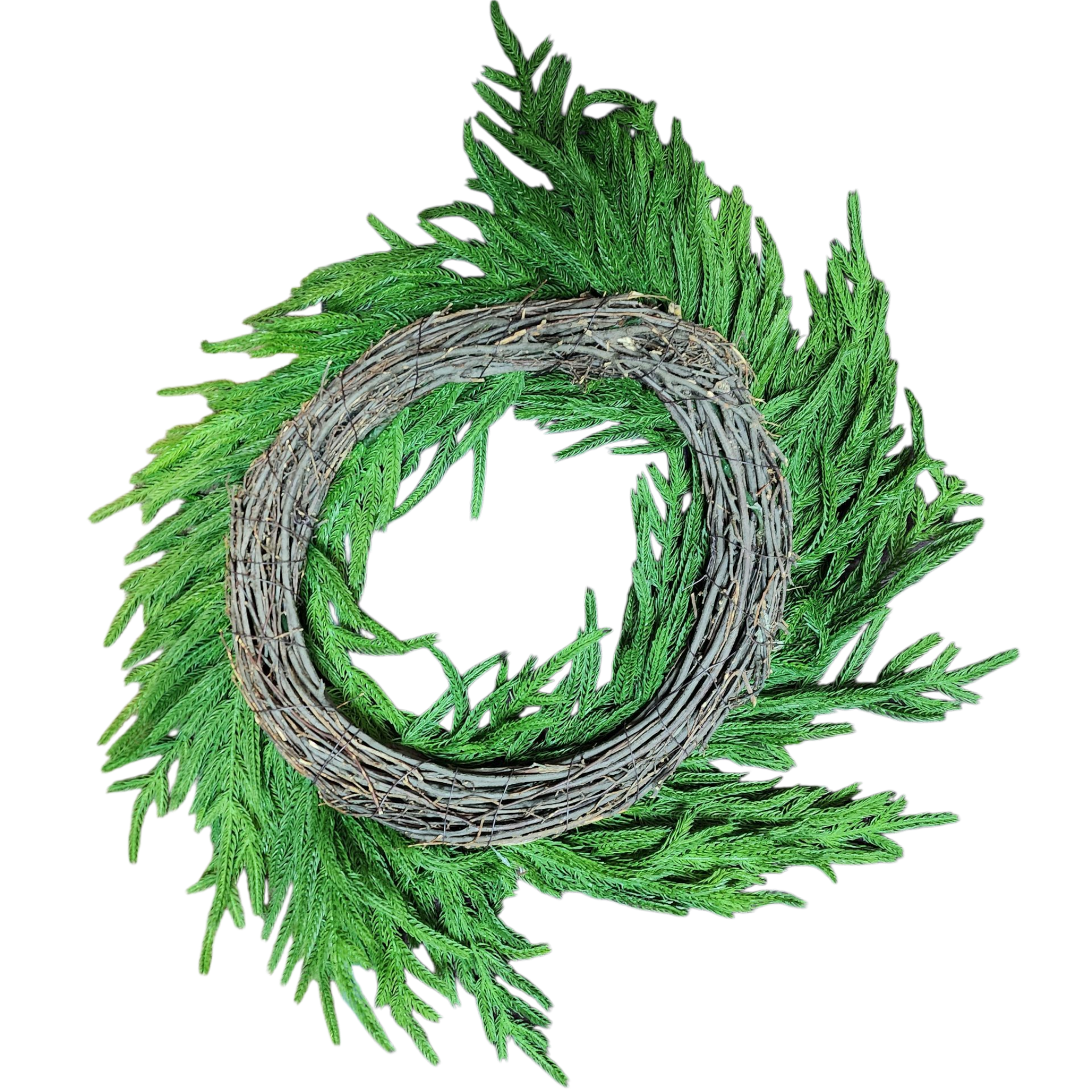 Natural Looking Lush Cedar Wreath - 24 Inches
